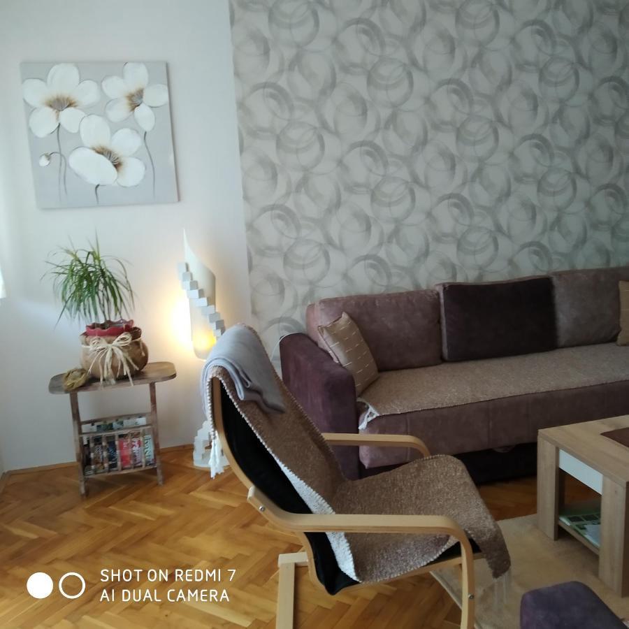 Apartman Ivan Врдник Экстерьер фото